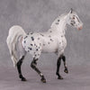 &quot;Pepper&quot; SAMPLE Leopard Appaloosa Custom Arab Mare By Ellen Robbins