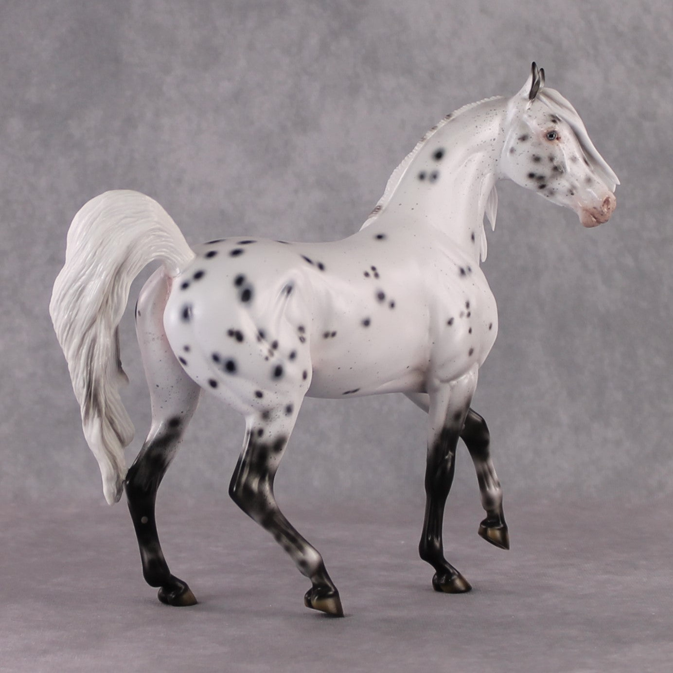 "Pepper" SAMPLE Leopard Appaloosa Custom Arab Mare By Ellen Robbins