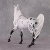 &quot;Pepper&quot; SAMPLE Leopard Appaloosa Custom Arab Mare By Ellen Robbins