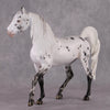 &quot;Pepper&quot; SAMPLE Leopard Appaloosa Custom Arab Mare By Ellen Robbins