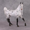 &quot;Pepper&quot; SAMPLE Leopard Appaloosa Custom Arab Mare By Ellen Robbins