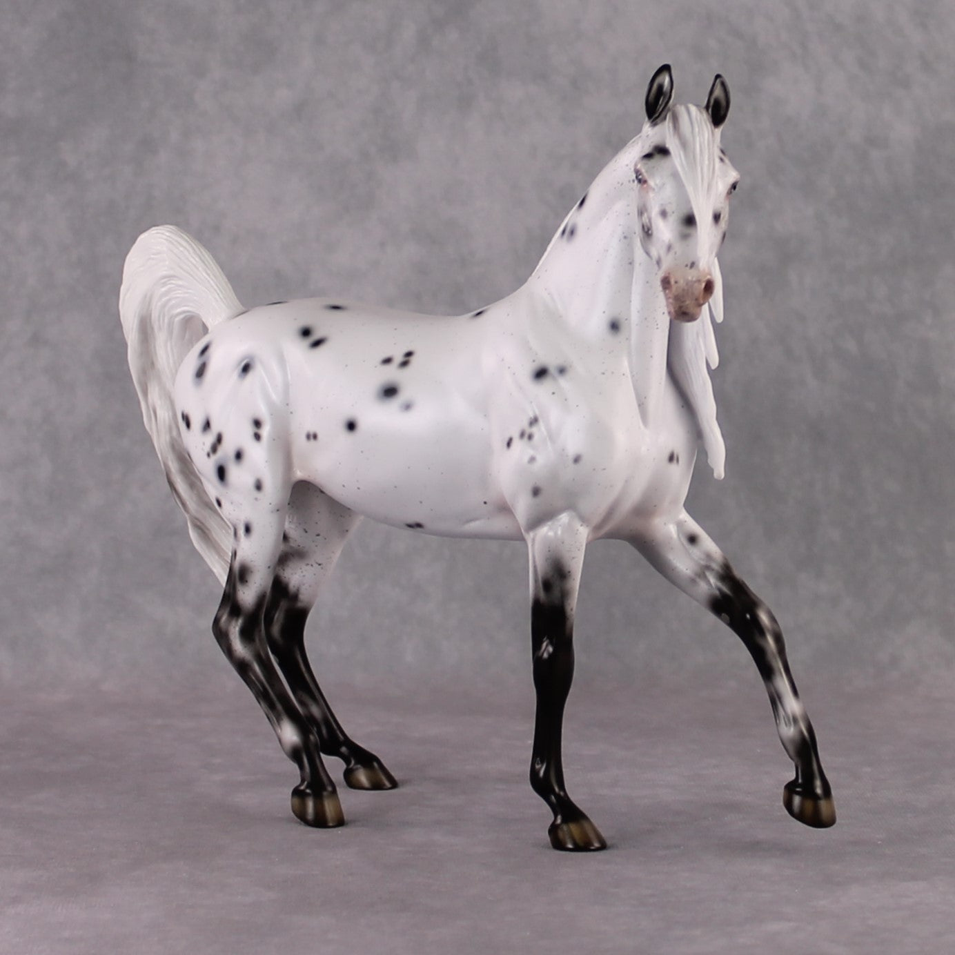 "Pepper" SAMPLE Leopard Appaloosa Custom Arab Mare By Ellen Robbins