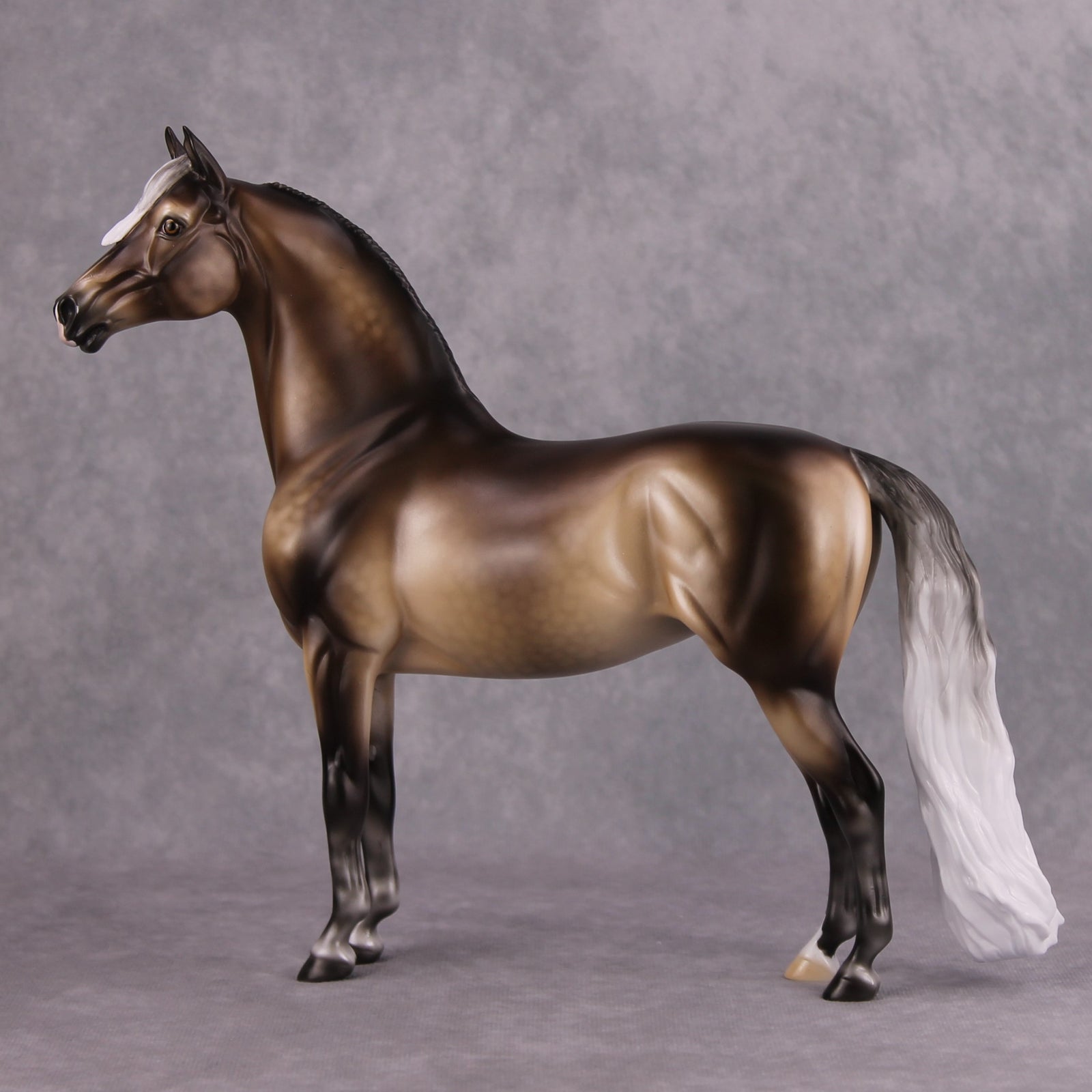 Veronika Carter LE 20 Dappled Silver Black Custom Morgan By Ellen Robbins MM24 Run