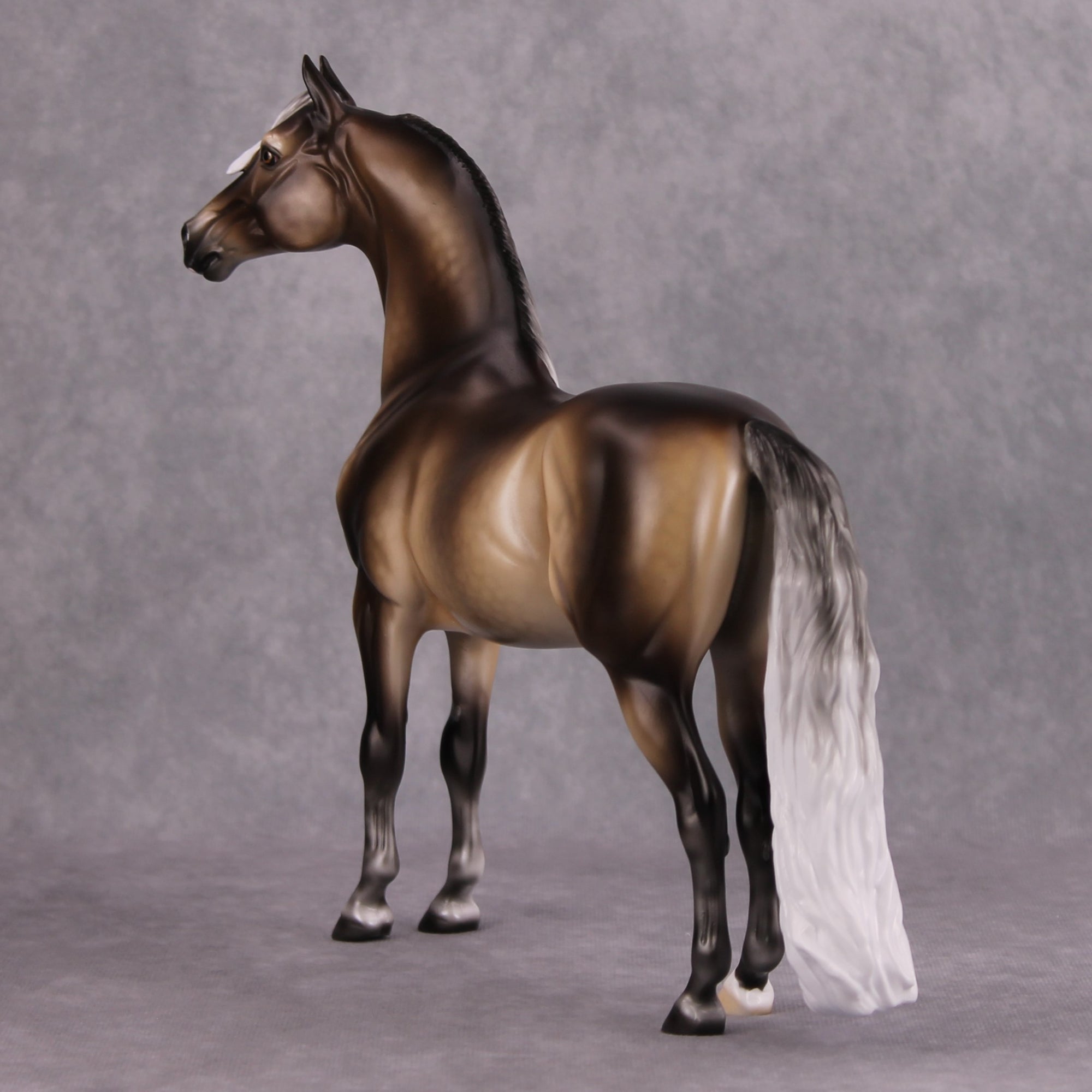 Veronika Carter LE 20 Dappled Silver Black Custom Morgan By Ellen Robbins MM24 Run