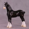 Art of the Horse Glossy Elemental Chips Set LE-10 Chip Sets by Anna Rieck EQ25