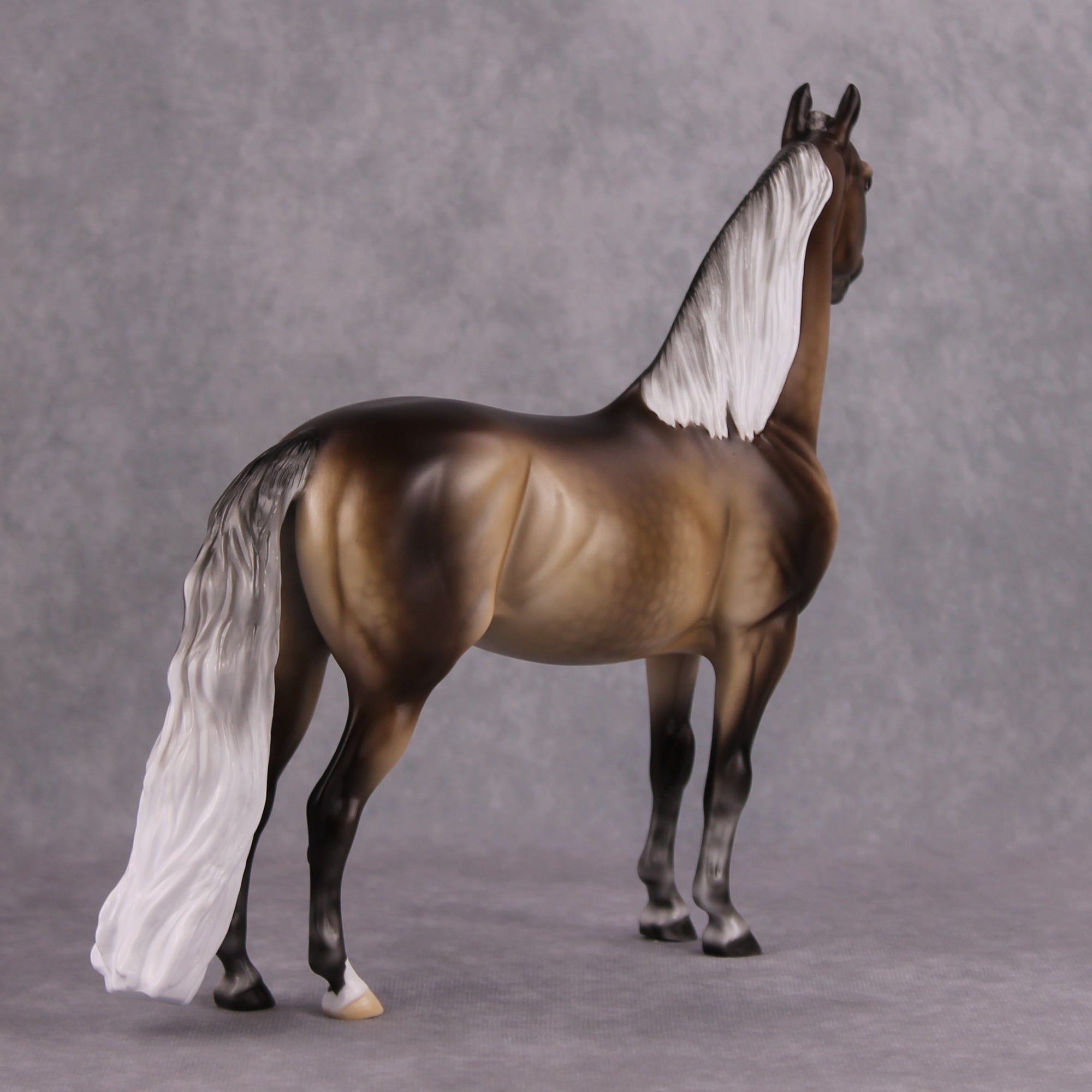 Veronika Carter LE 20 Dappled Silver Black Custom Morgan By Ellen Robbins MM24 Run