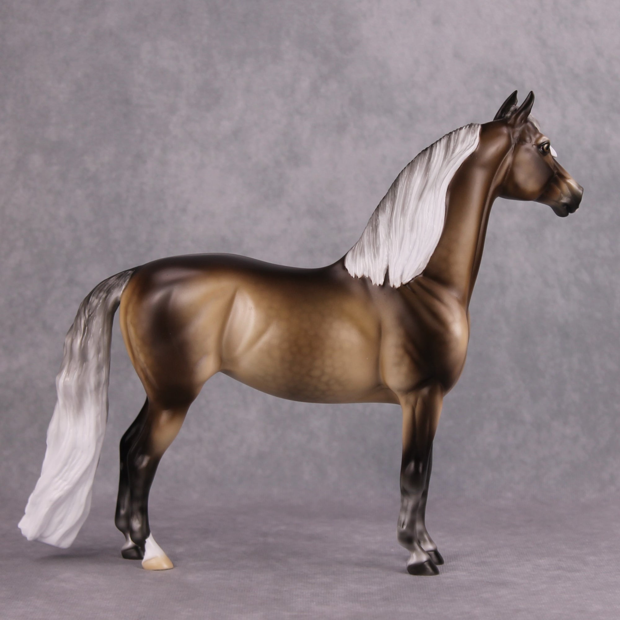 Veronika Carter LE 20 Dappled Silver Black Custom Morgan By Ellen Robbins MM24 Run