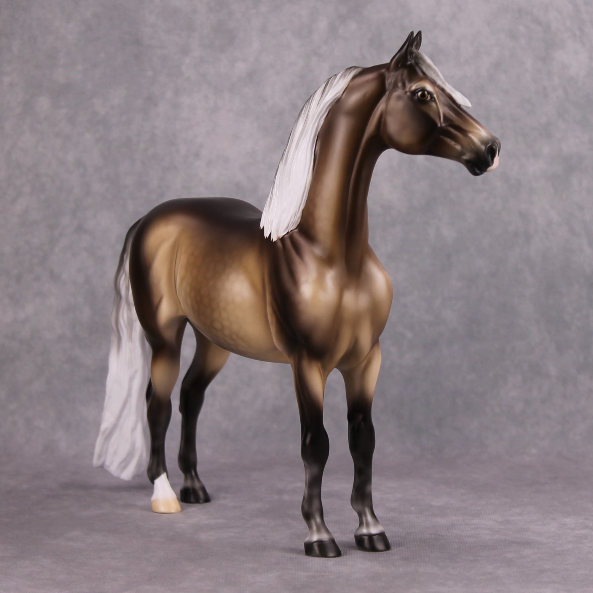 Veronika Carter LE 20 Dappled Silver Black Custom Morgan By Ellen Robbins MM24 Run