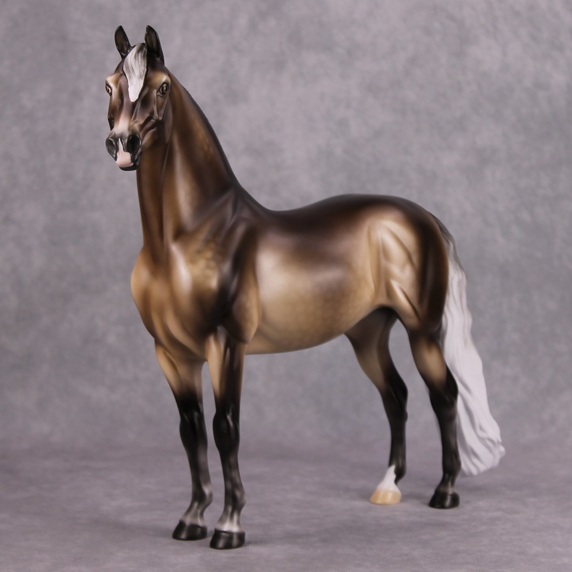 Veronika Carter LE 20 Dappled Silver Black Custom Morgan By Ellen Robbins MM24 Run