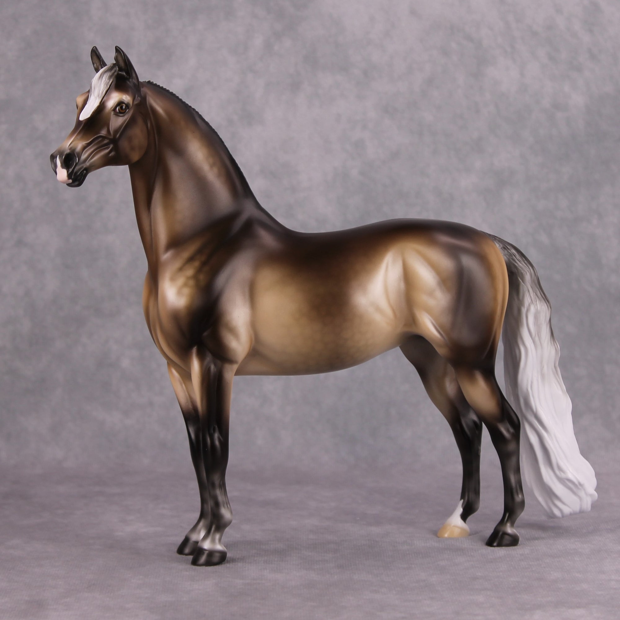 Veronika Carter LE 20 Dappled Silver Black Custom Morgan By Ellen Robbins MM24 Run