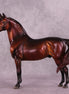 "Albert" NO FINISH CHANGE OOAK FCM Morgan Stallion by Dawn Quick and Erin Corbett EQ25