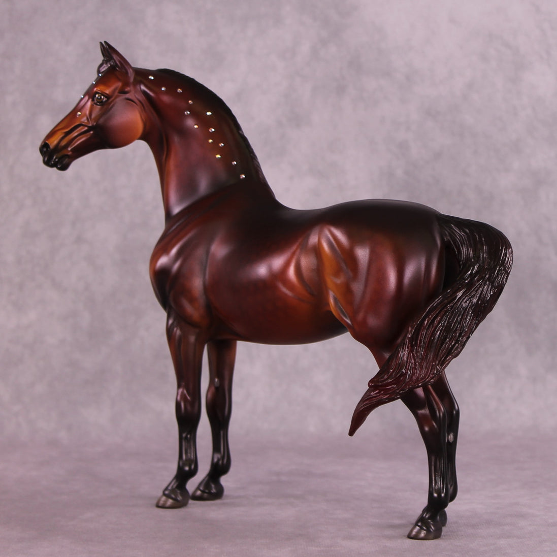"Albert" NO FINISH CHANGE OOAK FCM Morgan Stallion by Dawn Quick and Erin Corbett EQ25