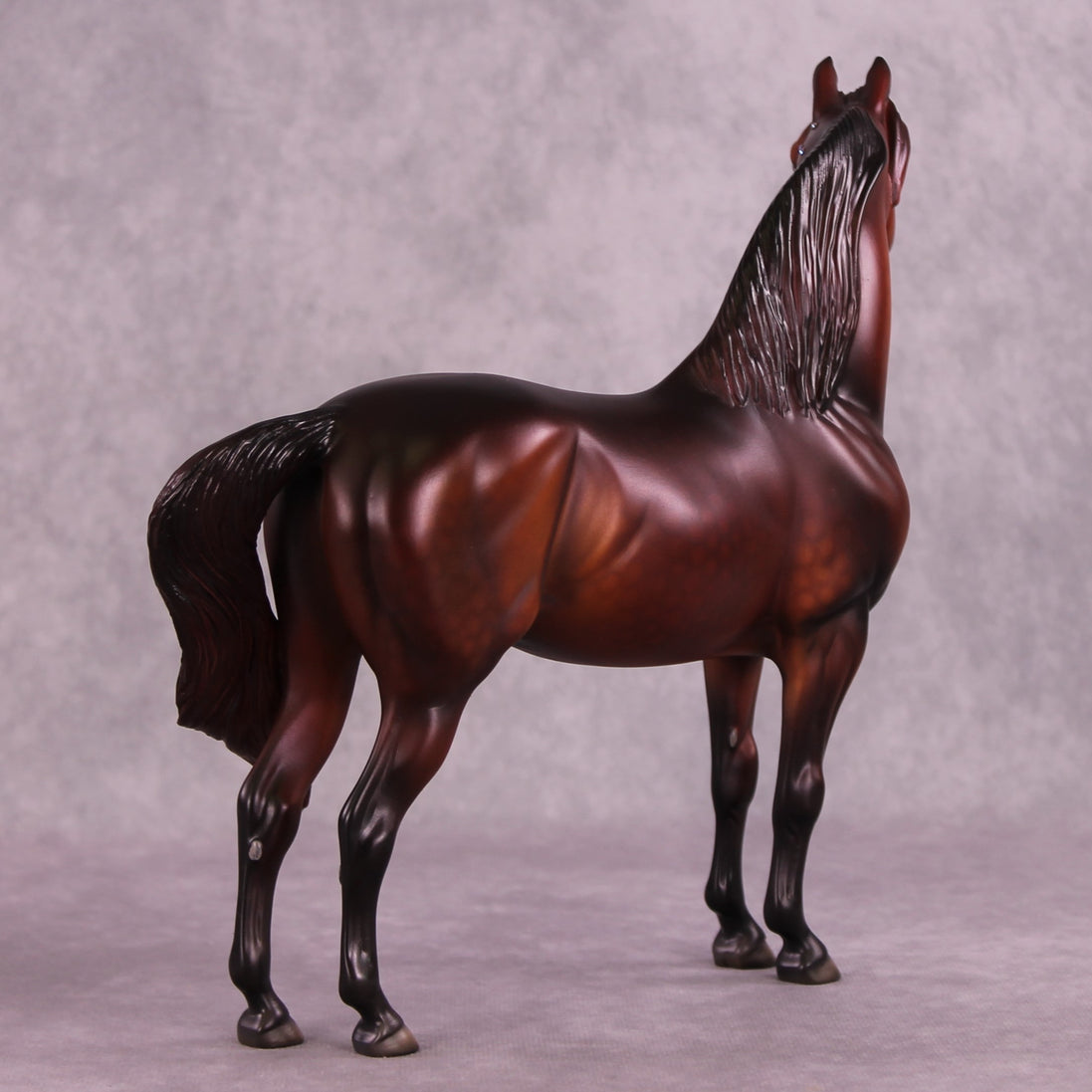 "Albert" NO FINISH CHANGE OOAK FCM Morgan Stallion by Dawn Quick and Erin Corbett EQ25