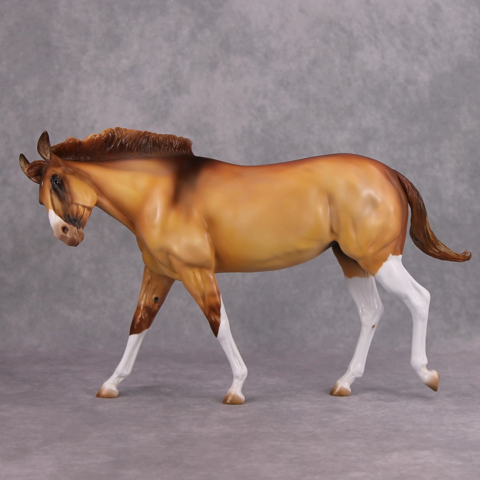 Shake It Off OOAK Apricot Dun with High Whites Extreme Custom Mule by Kirsten Cermele MM24 Best Offer