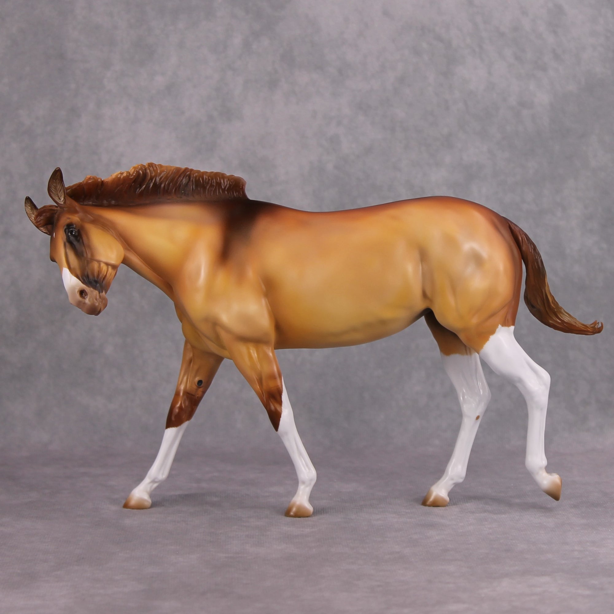 Shake It Off OOAK Apricot Dun with High Whites Extreme Custom Mule by Kirsten Cermele MM24 Best Offer