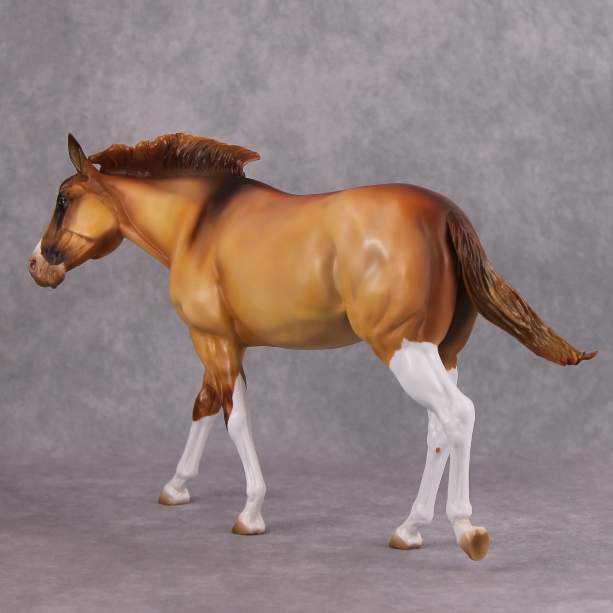 Shake It Off OOAK Apricot Dun with High Whites Extreme Custom Mule by Kirsten Cermele MM24 Best Offer