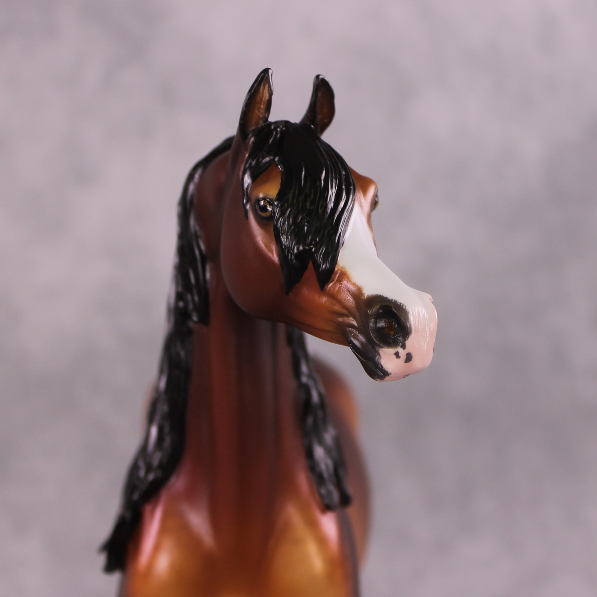 &quot;Blaise&quot; OOAK EFCM Arabian By Ellen Robbins SHCF25 Best Offer 5/27/25