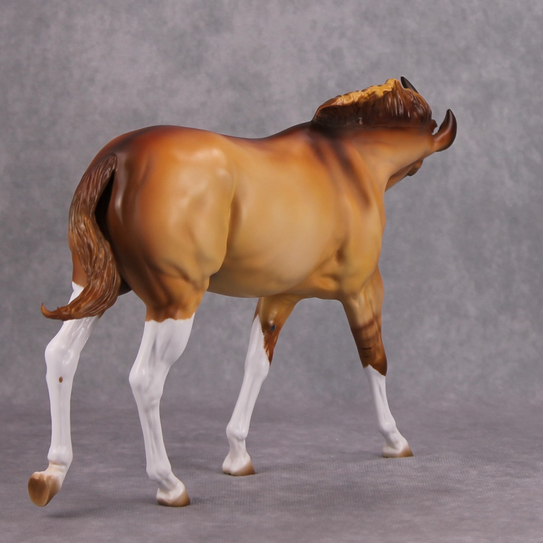 Shake It Off OOAK Apricot Dun with High Whites Extreme Custom Mule by Kirsten Cermele MM24 Best Offer