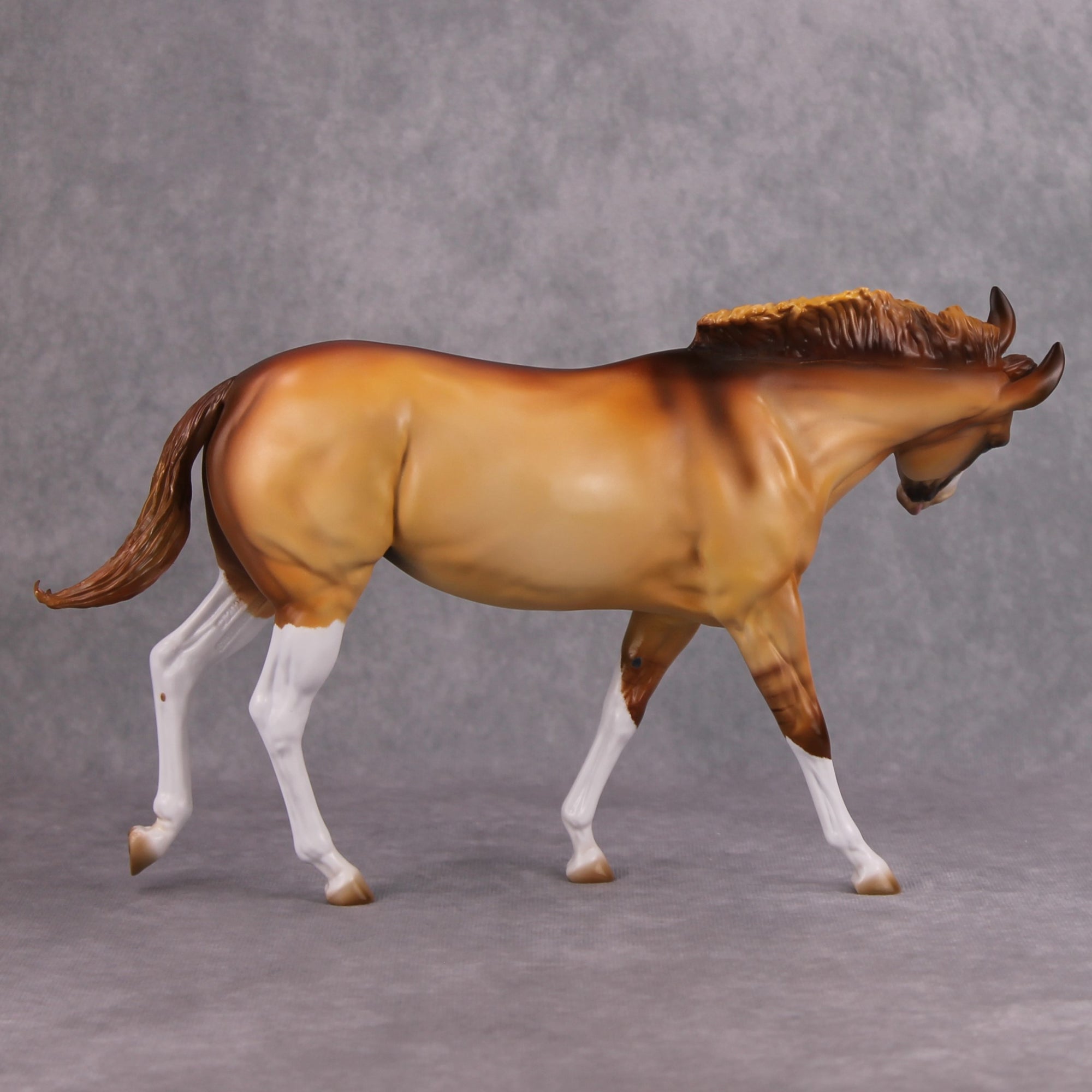 Shake It Off OOAK Apricot Dun with High Whites Extreme Custom Mule by Kirsten Cermele MM24 Best Offer