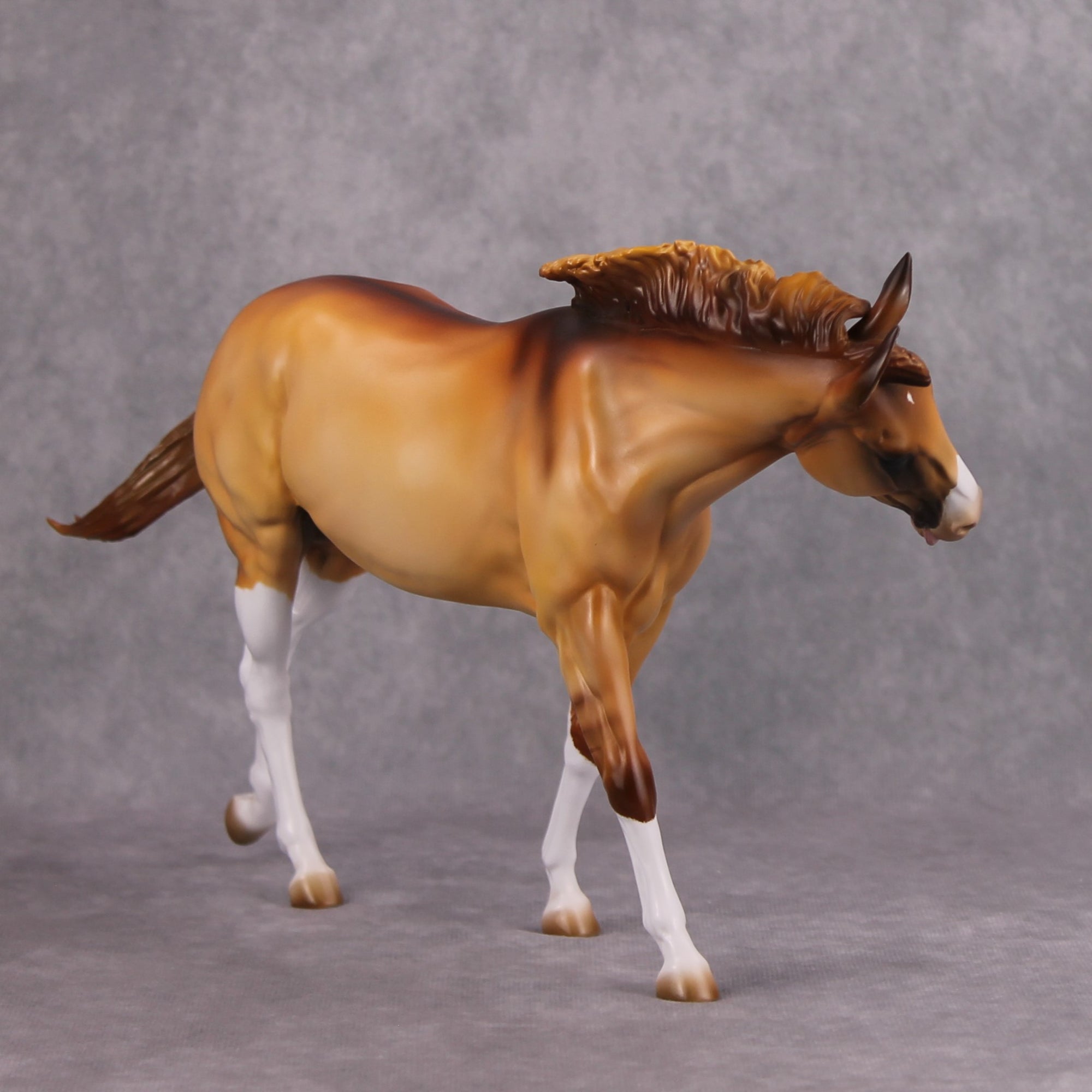 Shake It Off OOAK Apricot Dun with High Whites Extreme Custom Mule by Kirsten Cermele MM24 Best Offer