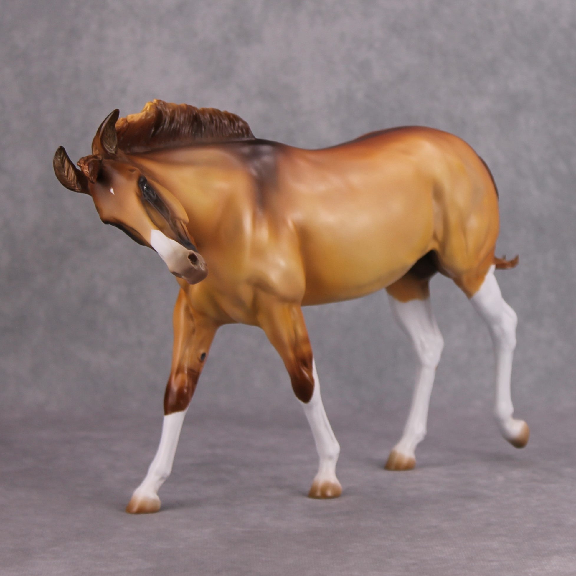 Shake It Off OOAK Apricot Dun with High Whites Extreme Custom Mule by Kirsten Cermele MM24 Best Offer