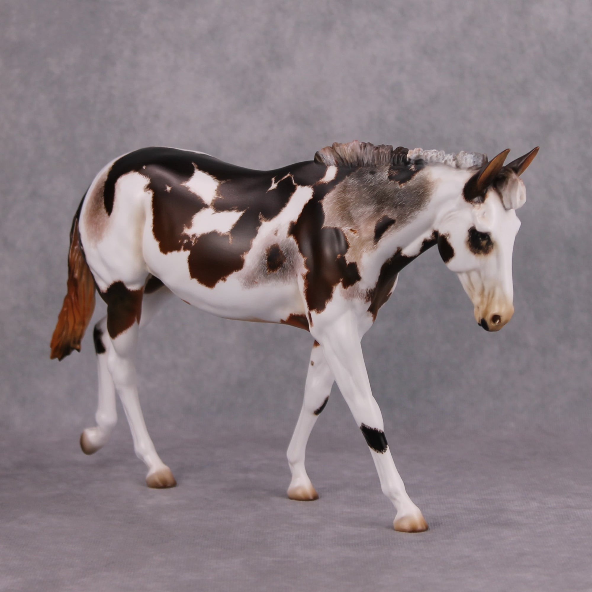 Snow on the Beach OOAK Bay Pinto with Roaning Custom Mule By Kristen Cermele MM24 Best Offer