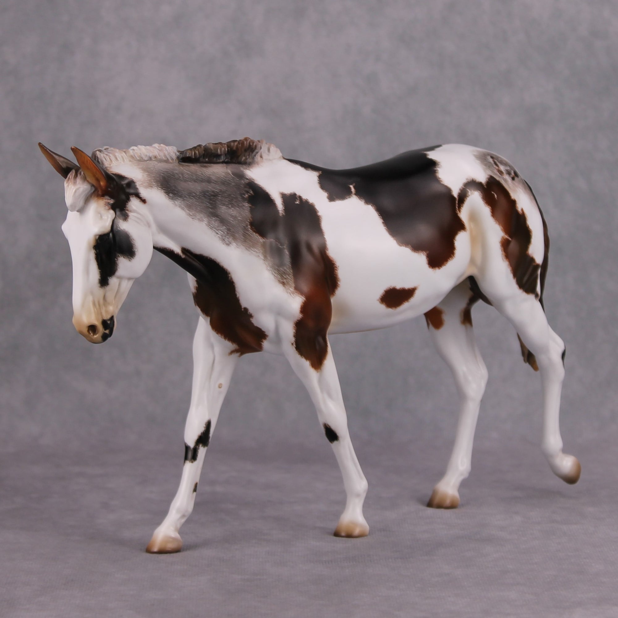 Snow on the Beach OOAK Bay Pinto with Roaning Custom Mule By Kristen Cermele MM24 Best Offer