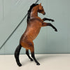 Buckingham OOAK Custom Dappled Buckskin Trouble By Caroline Boydston Best Offers 7/30/24