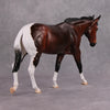 PREVIEW LISTING ONLY Cozy Cocoa OOAK Bay Tobiano Mule By Visiting Artist Kirsten Wellman By MM24