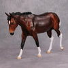 Cozy Cocoa OOAK Bay Tobiano Mule By Visiting Artist Kirsten Wellman By MM24