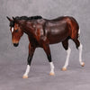 PREVIEW LISTING ONLY Cozy Cocoa OOAK Bay Tobiano Mule By Visiting Artist Kirsten Wellman By MM24