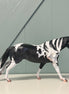 Pantheon OOAK Custom Black Tobiano with Cat Tracks Running Stock Horse By Caroline Boydston Best Offers 7/30/24