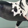 Pantheon OOAK Custom Black Tobiano with Cat Tracks Running Stock Horse By Caroline Boydston Best Offers 7/30/24