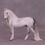 SAMPLE Marshmallow Fluff Mamba LE-5 EFCM Chip Andalusian by Ellen Robbins SS0826