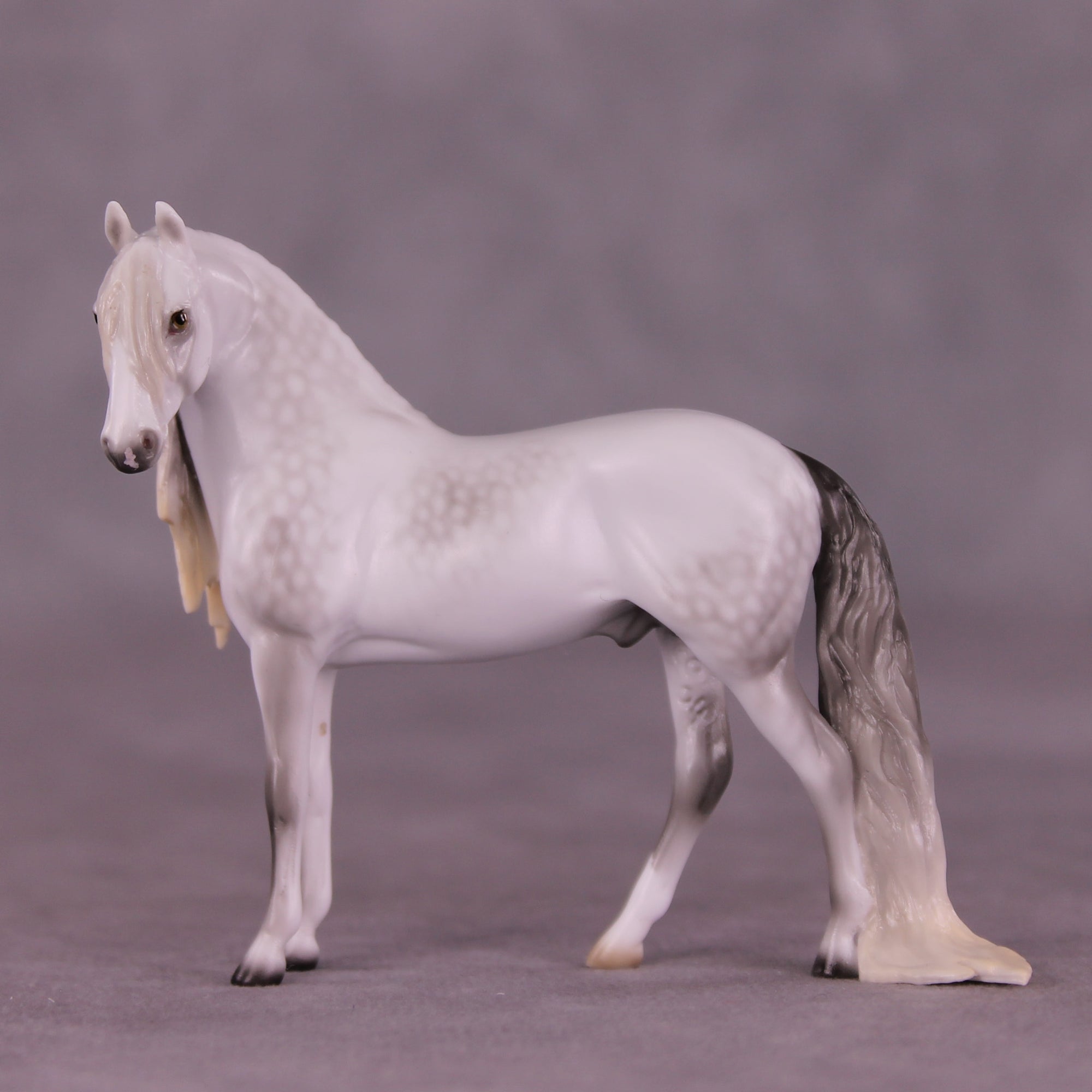 Marshmallow Fluff Mamba LE-5 EFCM Chip Andalusian by Ellen Robbins LHS25