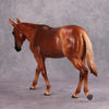 PREVIEW LISTING ONLY Pumpkin Spice OOAK Flaxen Chestnut Mule By Visiting Artist Kirsten Wellman MM24