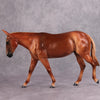 PREVIEW LISTING ONLY Pumpkin Spice OOAK Flaxen Chestnut Mule By Visiting Artist Kirsten Wellman MM24