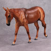 PREVIEW LISTING ONLY Pumpkin Spice OOAK Flaxen Chestnut Mule By Visiting Artist Kirsten Wellman MM24