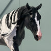 Pantheon OOAK Custom Black Tobiano with Cat Tracks Running Stock Horse By Caroline Boydston Best Offers 7/30/24