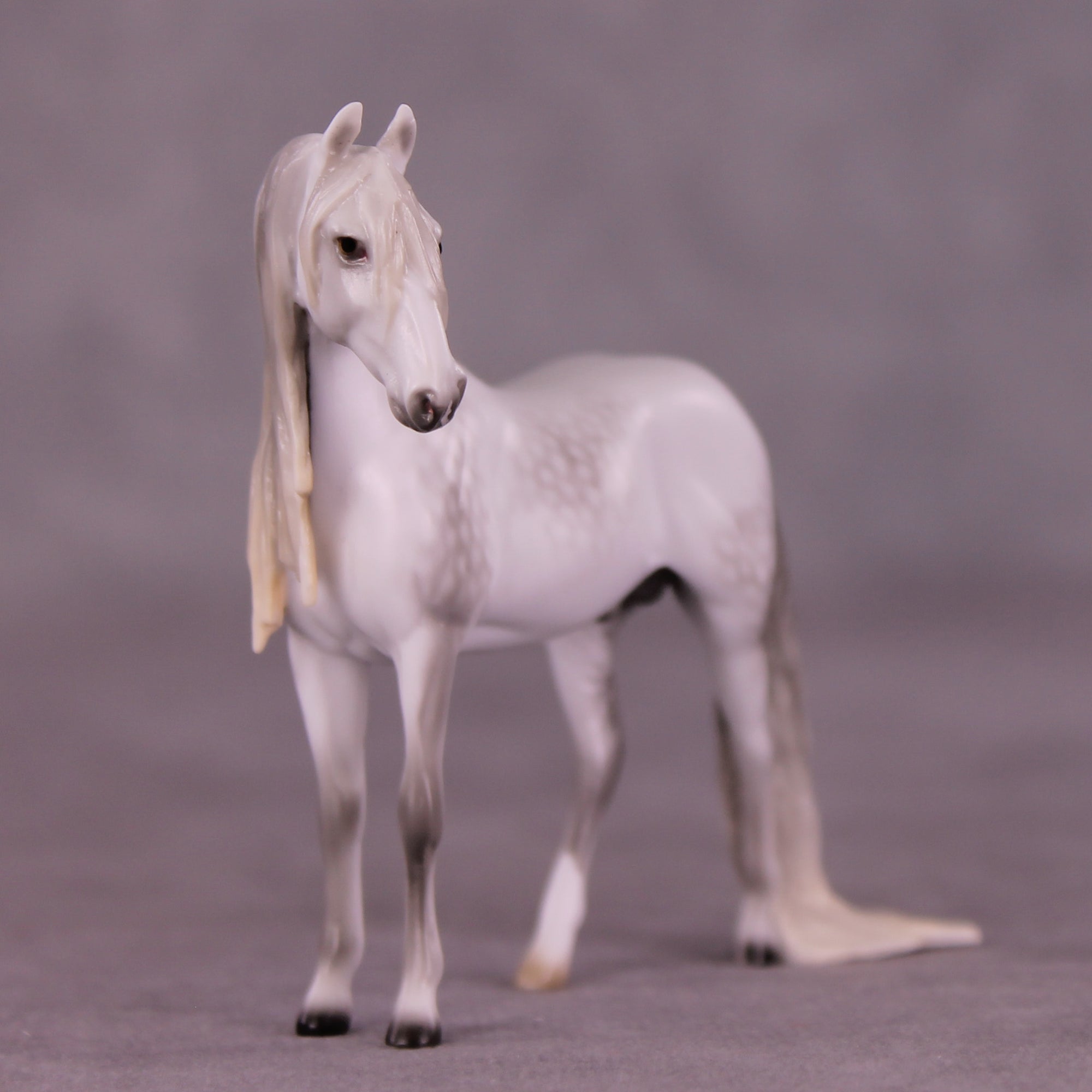 Marshmallow Fluff Mamba LE-5 EFCM Chip Andalusian by Ellen Robbins LHS25