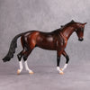 PREVIEW LISTING ONLY Galileo Figaro OOAK Bay Thoroughbred By Kirsten Wellman MM24