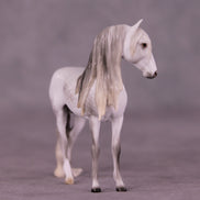 SAMPLE Marshmallow Fluff Mamba LE-5 EFCM Chip Andalusian by Ellen Robbins SS0826