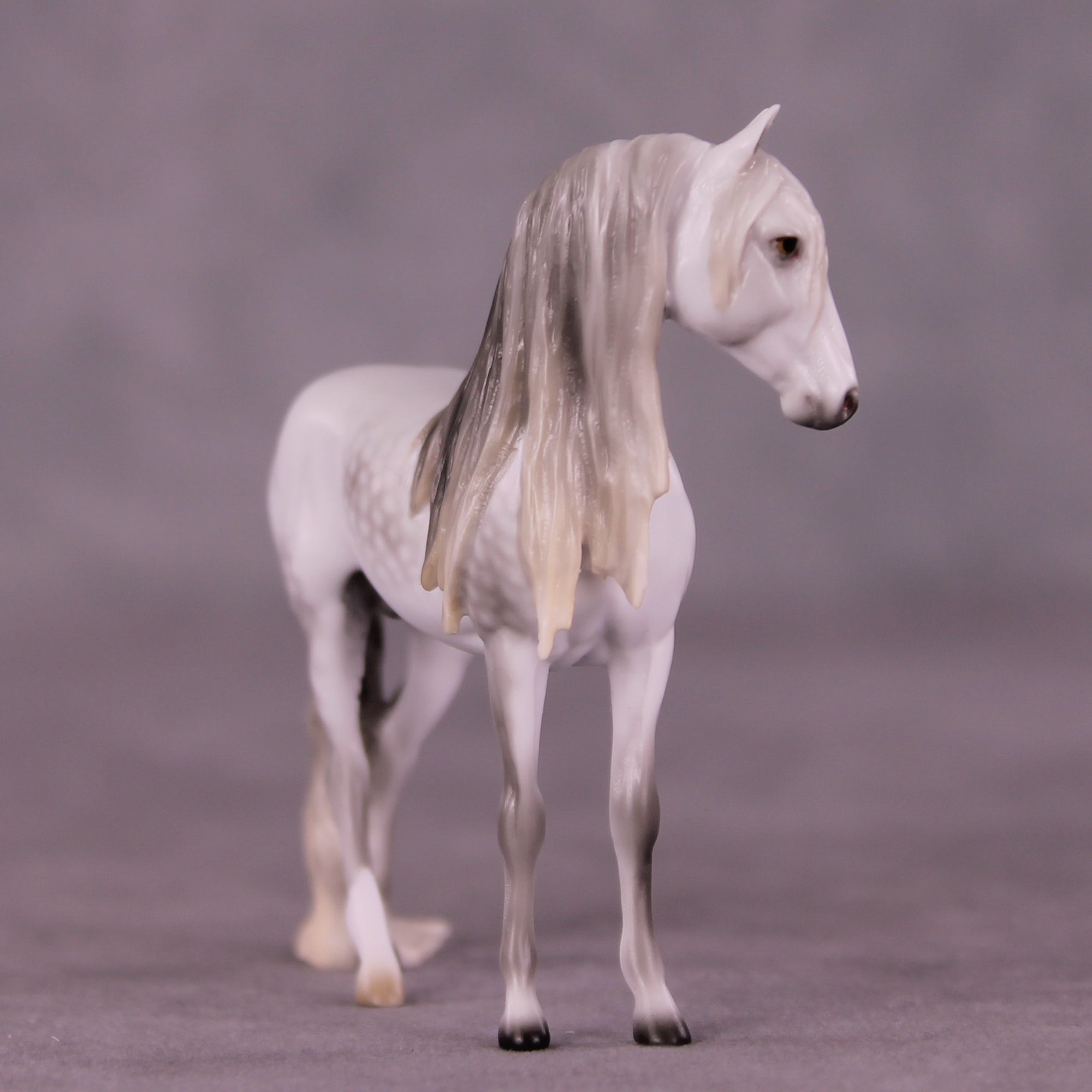 Marshmallow Fluff Mamba LE-5 EFCM Chip Andalusian by Ellen Robbins LHS25