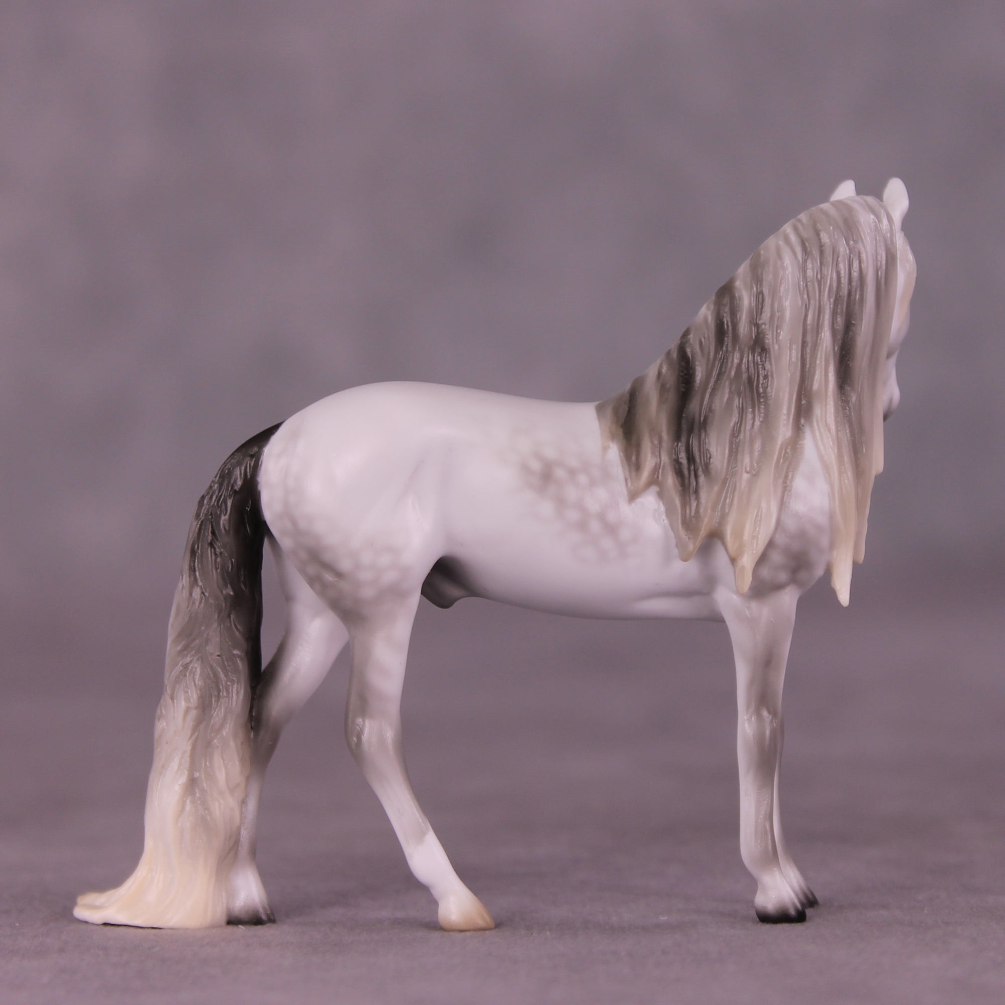 Marshmallow Fluff Mamba LE-5 EFCM Chip Andalusian by Ellen Robbins LHS25