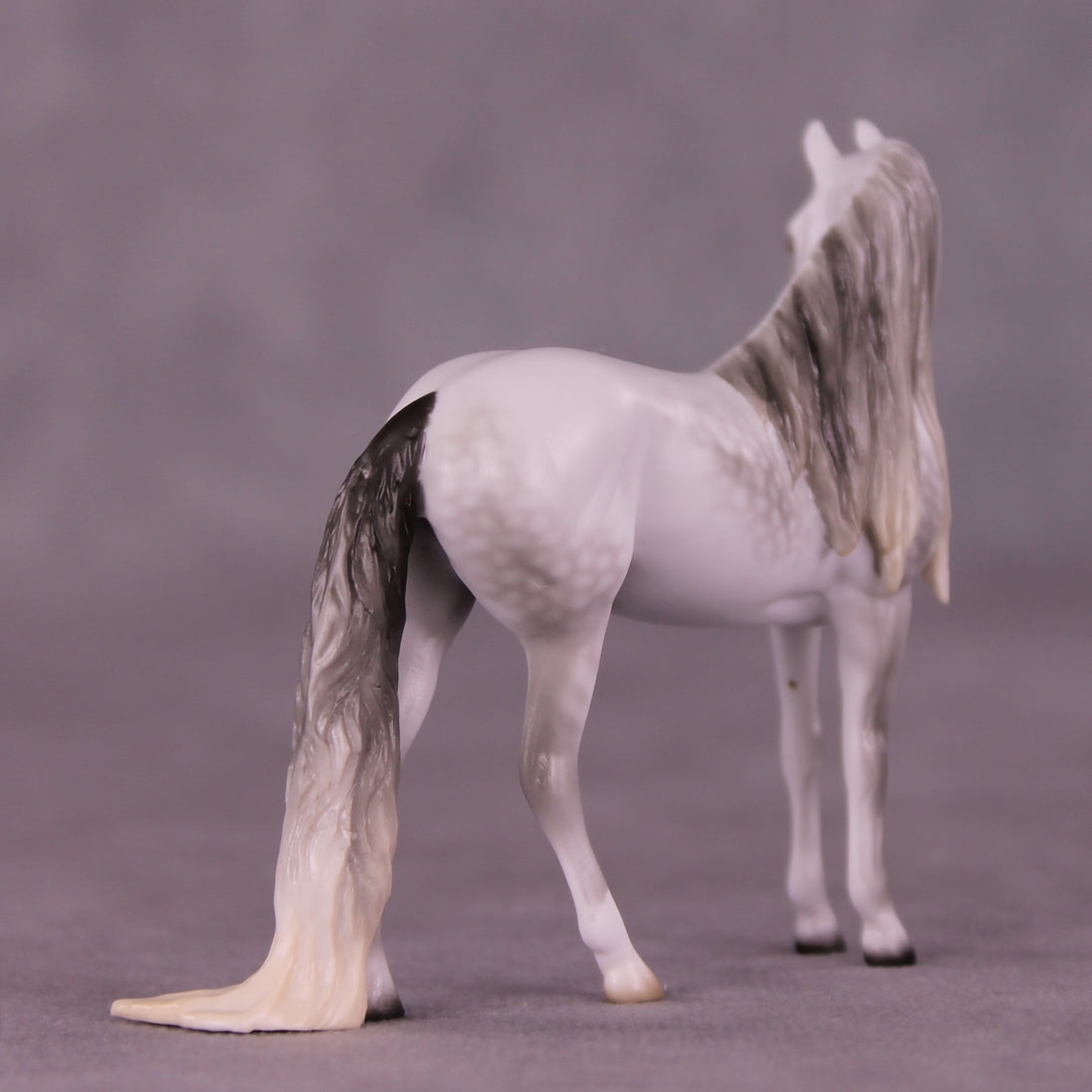 SAMPLE Marshmallow Fluff Mamba LE-5 EFCM Chip Andalusian by Ellen Robbins SS0826