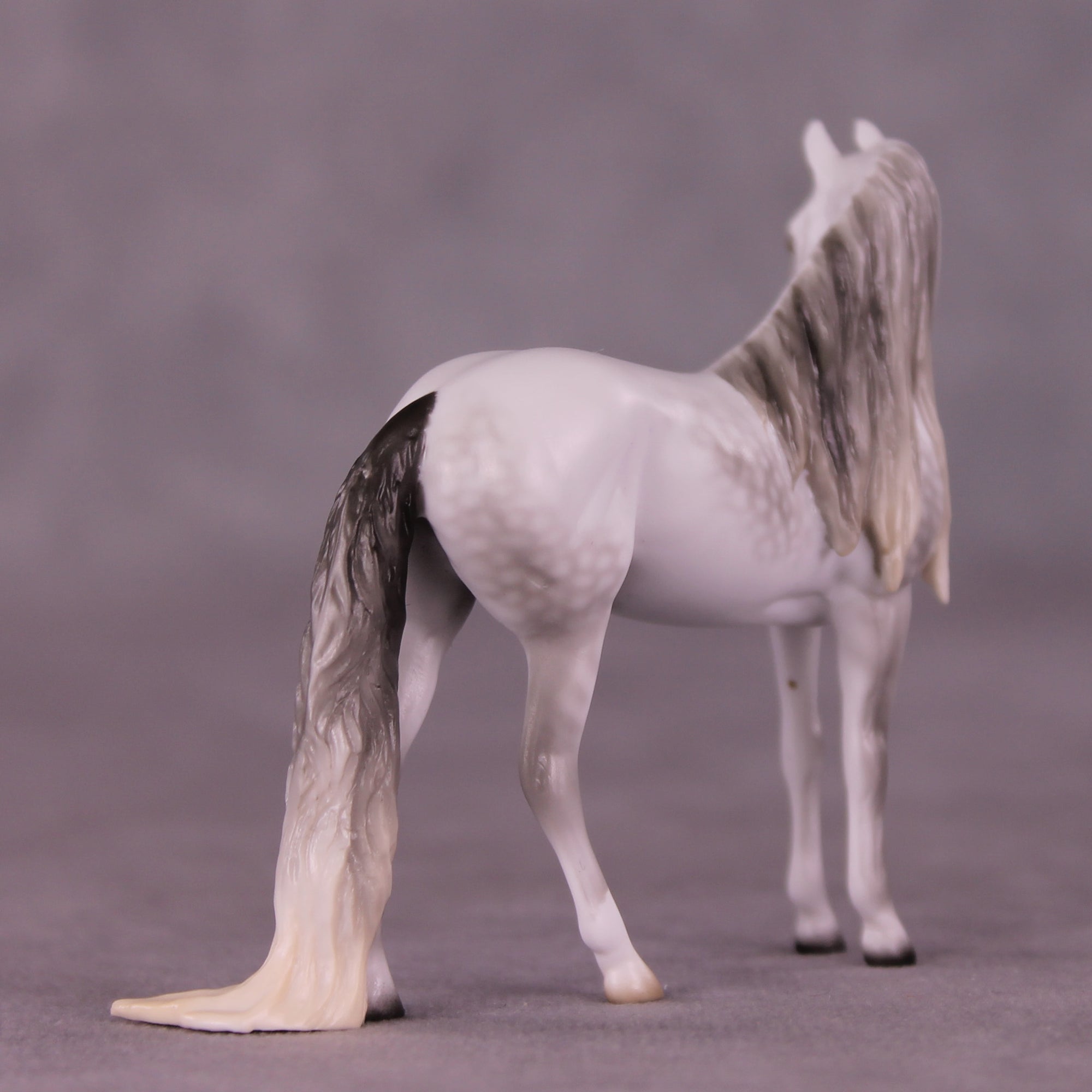 Marshmallow Fluff Mamba LE-5 EFCM Chip Andalusian by Ellen Robbins LHS25