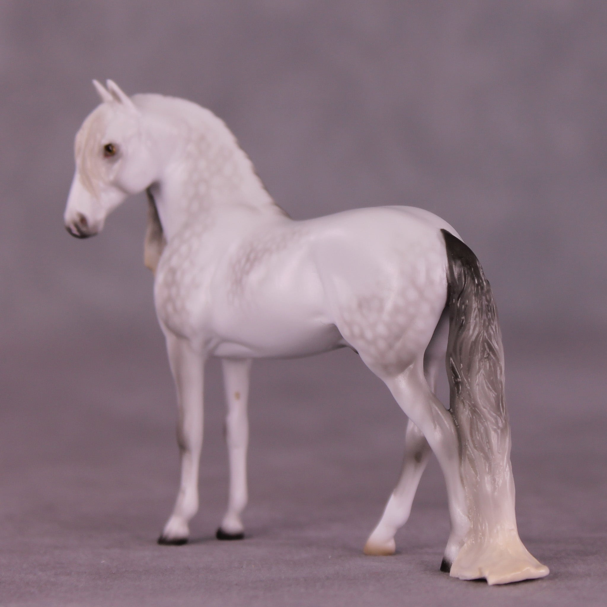SAMPLE Marshmallow Fluff Mamba LE-5 EFCM Chip Andalusian by Ellen Robbins SS0826