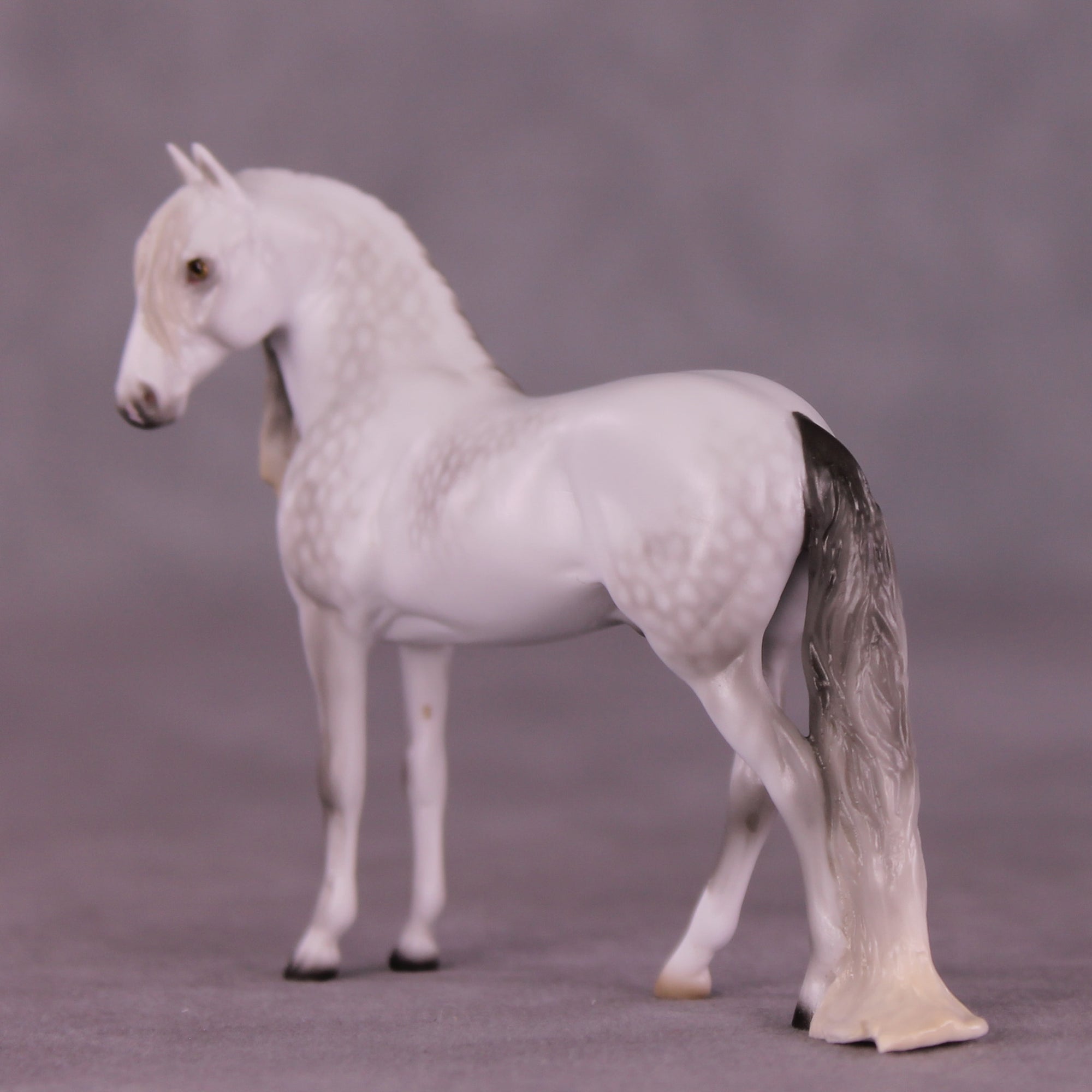 Marshmallow Fluff Mamba LE-5 EFCM Chip Andalusian by Ellen Robbins LHS25