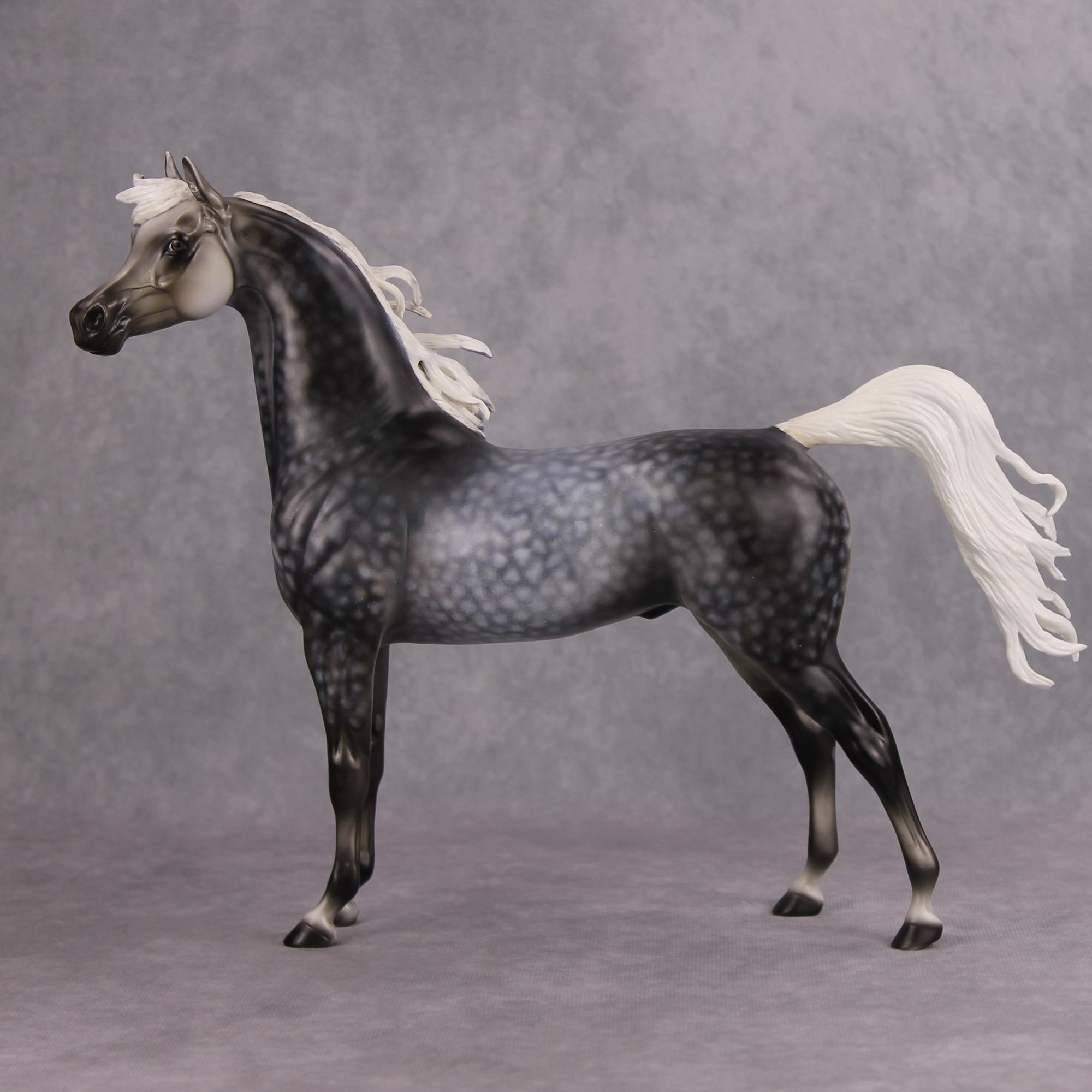 Mystery OOAK Dappled Grey Custom Arabian By Dawn Quick MM24