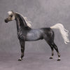 PREVIEW LISTING ONLY Mystery OOAK Dappled Grey Custom Arabian By Dawn Quick MM24